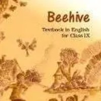 ncert-english-beehive-solutions-for-class-9